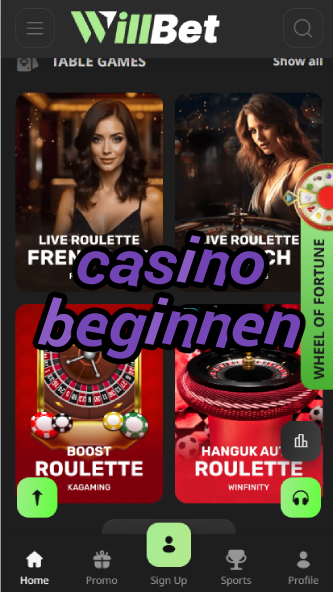 Casino Beginnen - German Casino Beginner's Guide-casinoorder.vip