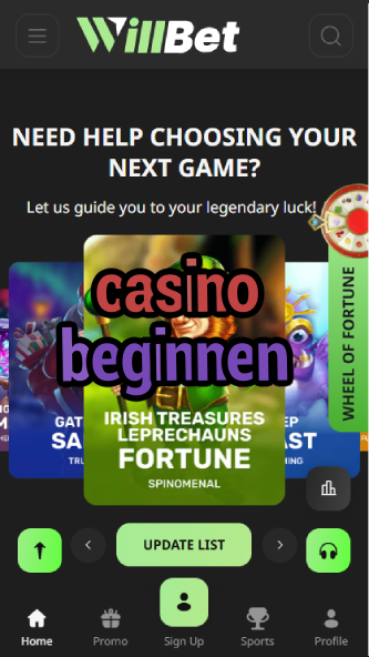 Casino Beginnen - German Casino Beginner's Guide-casinoorder.vip