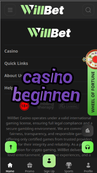 Casino Beginnen - German Casino Beginner's Guide-casinoorder.vip