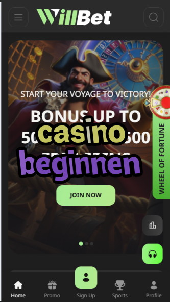 Casino Beginnen - German Casino Beginner's Guide-casinoorder.vip